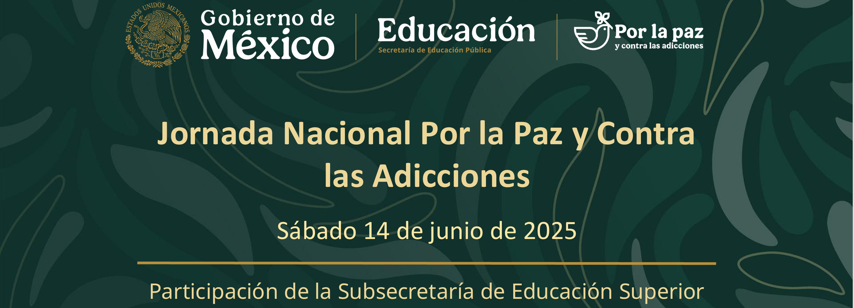 Jornada Tequios 2025